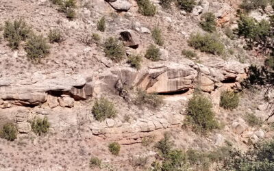 Straight up and down